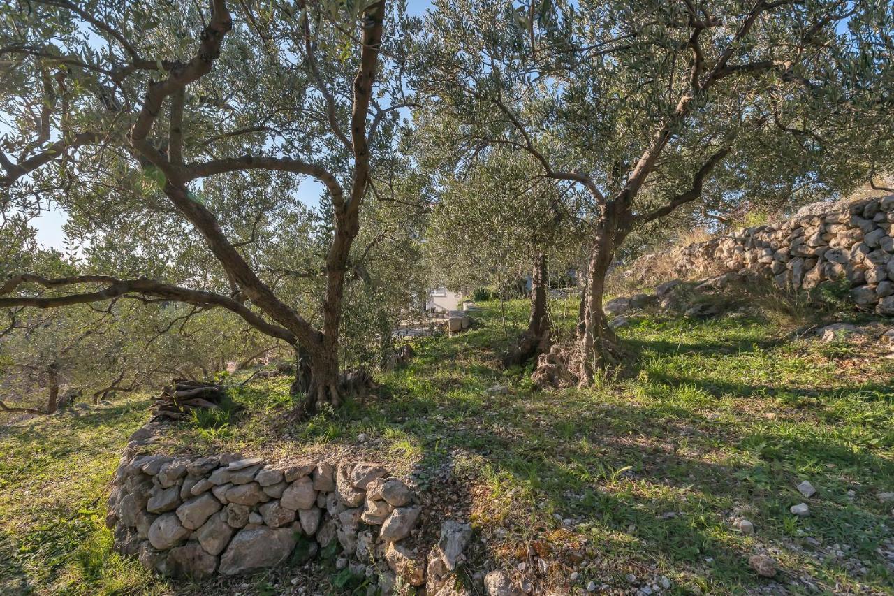 The Art Of Mediterranean Living Макарска Экстерьер фото